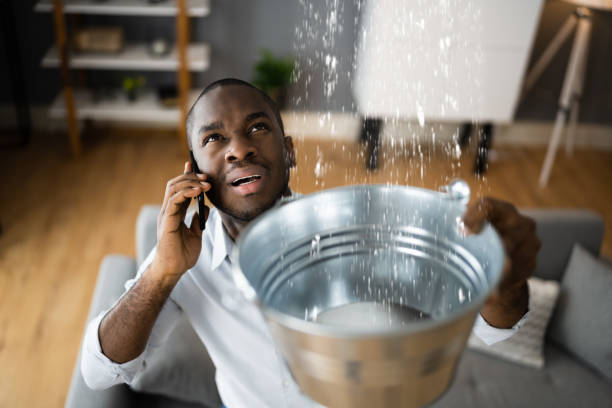 Best Flood damage cleanup  in Shaw Heights, CO