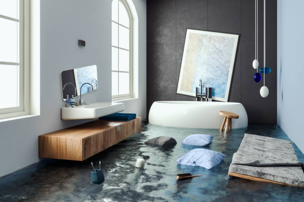 Best 24/7 water damage repair  in Shaw Heights, CO
