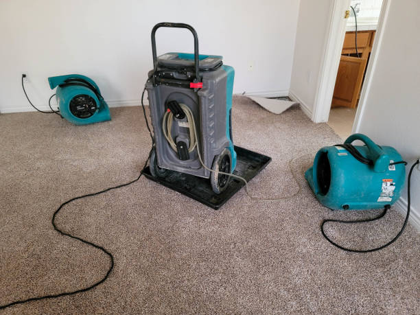 Best 24-hour water damage restoration  in Shaw Heights, CO