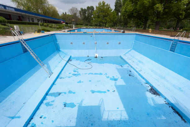 Best Basement water damage restoration  in Shaw Heights, CO