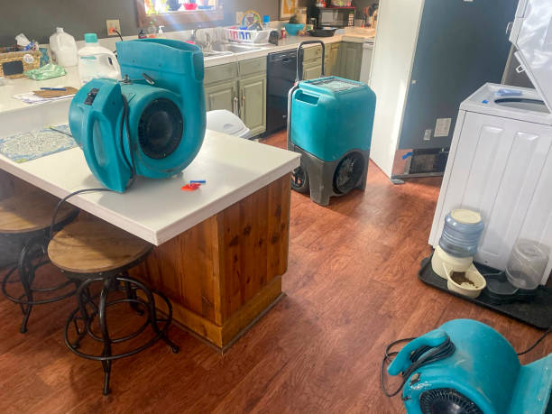 Best Residential water damage restoration  in Shaw Heights, CO