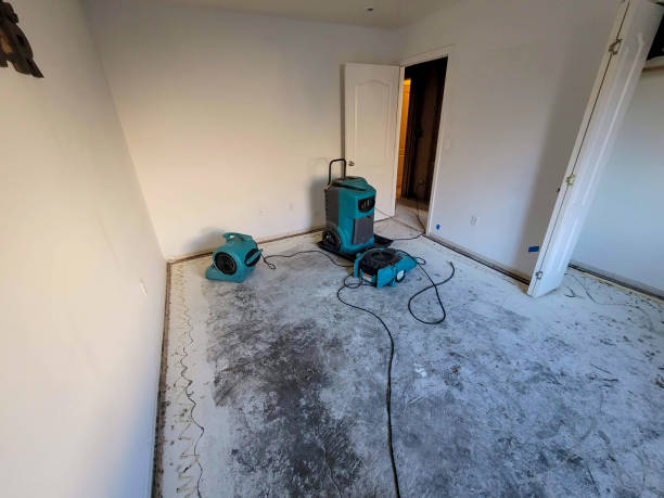 Best Water damage cleanup near me  in Shaw Heights, CO