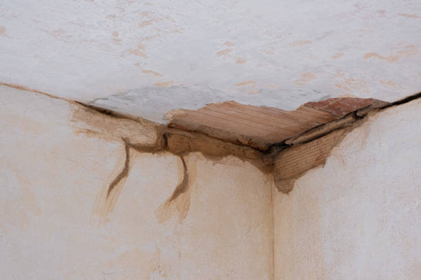 Best Water damage contractors near me  in Shaw Heights, CO