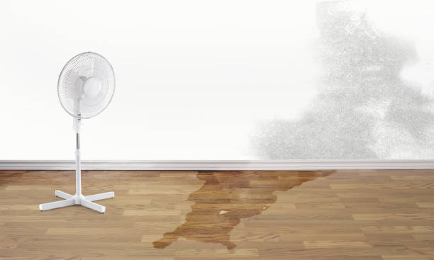 Best Fire Damage Restoration  in Shaw Heights, CO
