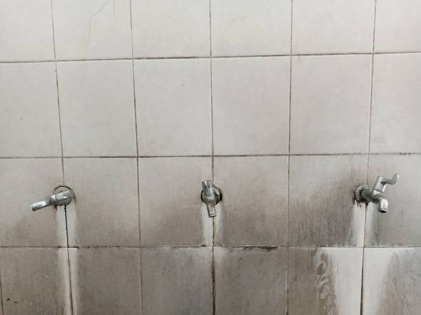 Best Flooded house restoration  in Shaw Heights, CO