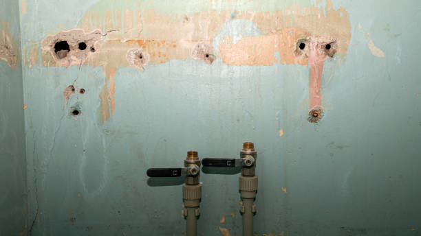 Best Local water damage restoration  in Shaw Heights, CO