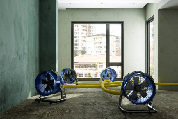 Best Water damage restoration near me  in Shaw Heights, CO