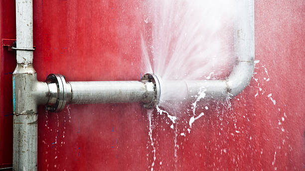 Best Ceiling water damage repair  in Shaw Heights, CO